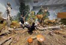 Natural History Museum of Meteora and Mushroom Museum景点图片
