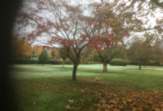 Woking Park景点图片