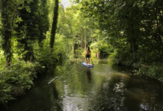 Stand Up Paddling Spreewald景点图片