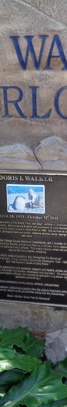 Doris Walker Overlook-达纳点