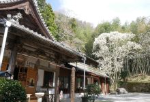 大宝寺景点图片