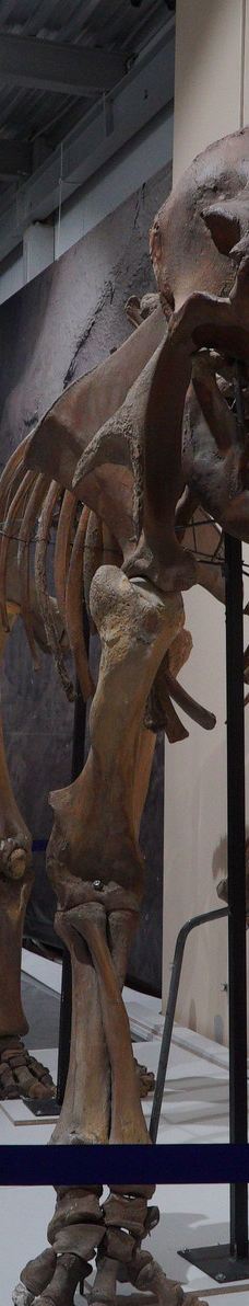 Historical Park Rossiya-Moya Istoriya-雅库茨克