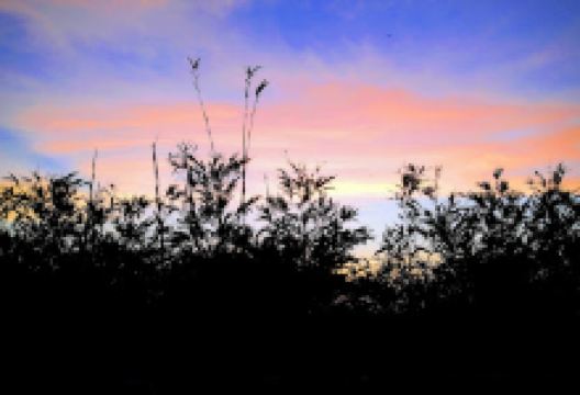 Cathedral of Praise South Campus景点图片