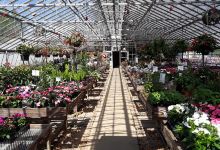 PRATT'S GREENHOUSE LLC购物图片