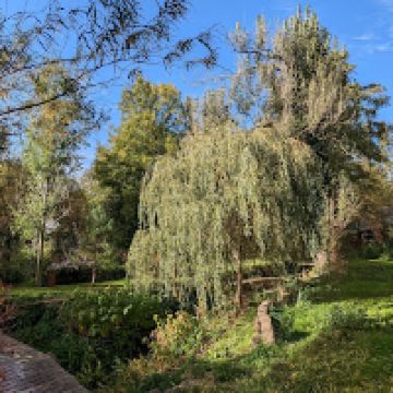 提姆斯布里图片