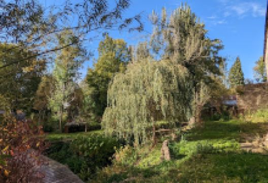 Radford Mill景点图片