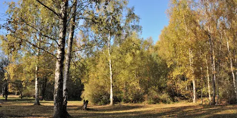 New Lount Nature Reserve