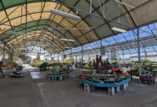 Mid City Nursery购物图片