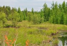 Hiles Wetlands State Natural Area景点图片