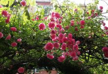 Haymana Halk Eğitim Merkezi景点图片