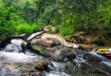 Campo Magnetico Natural景点图片