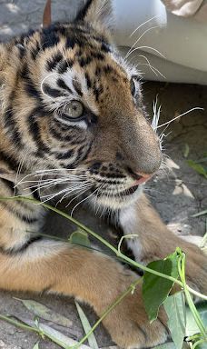 La Pequeña África-加的斯省