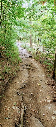Hangender Stein-佐勒纳尔布县