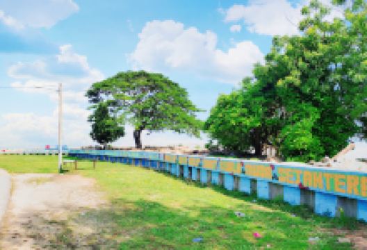 Viewing Area景点图片