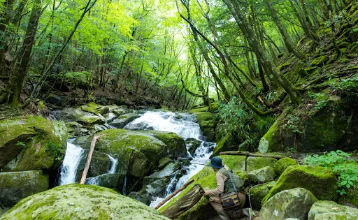 球磨川水源
