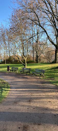 New World Park-茨维考