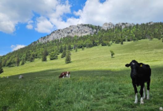 Col de l'Aiguillon景点图片
