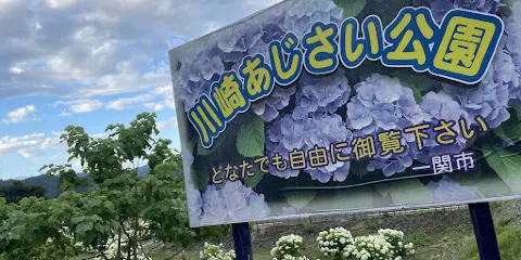 川崎あじさい公園
