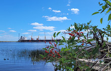 Rambla de Nueva Palmira餐厅图片