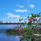 Rambla de Nueva Palmira
