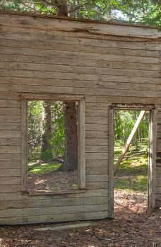 Dyea Campground-史凯威