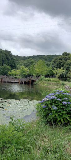 荒神谷博物館-出云