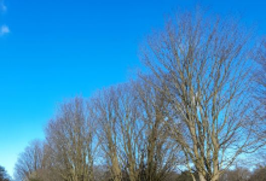 Halliford Park景点图片
