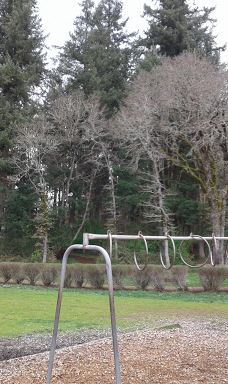 Wes Bennett Park-塞勒姆