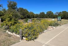 Bosque River Trail Nature Center景点图片