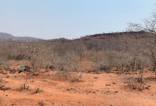 Chirundu Petrified Forest景点图片