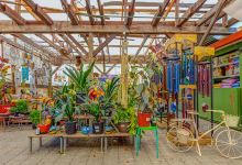 El Dorado Nursery & Garden Inc购物图片