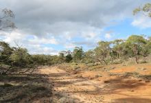 Kinchina Conservation Park Cypress Hill Trailhead景点图片
