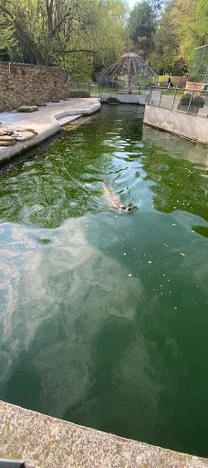 Zoo Kosice-科希策1区