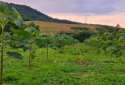 Boholt River景点图片