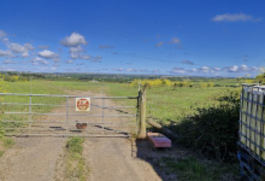 Cornhill Farm景点图片