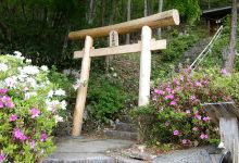 Wakamiya Shrine景点图片