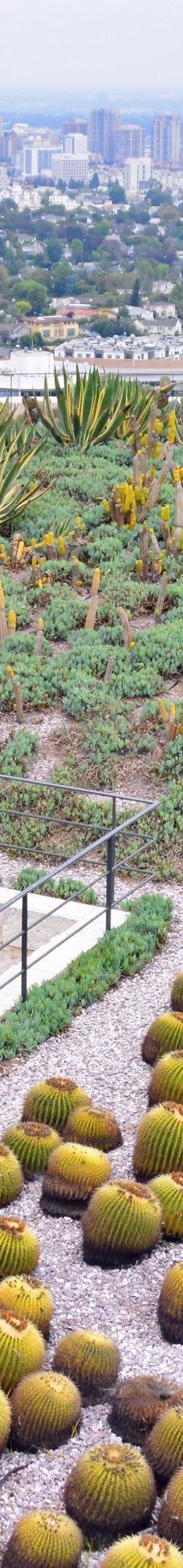 盖蒂中心-洛杉矶