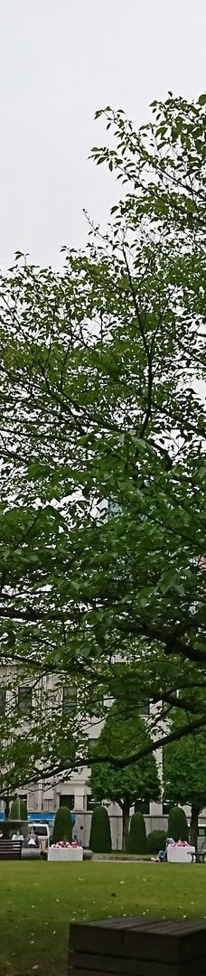 Noritake的森林-名古屋