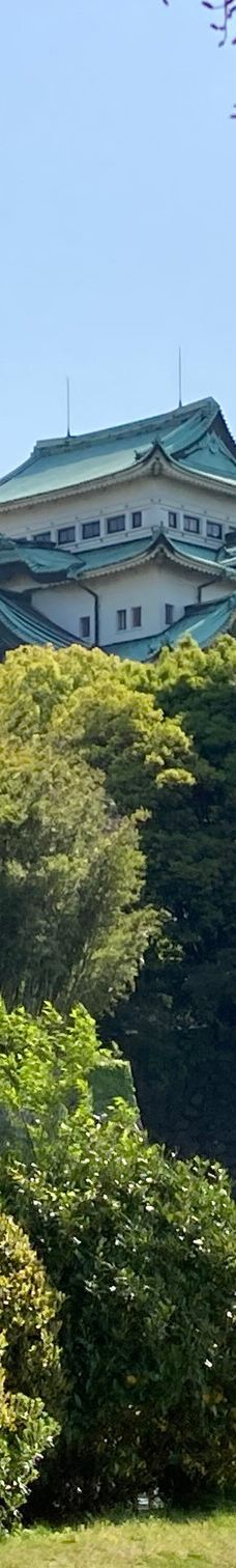 名城公园-名古屋