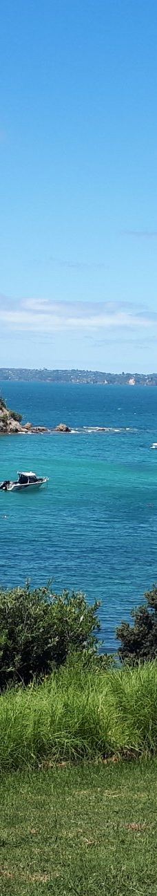 豪拉基湾-奥克兰