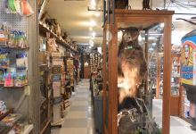 Marsh's Free Museum景点图片