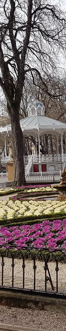 佛罗里达公园-维托里亚