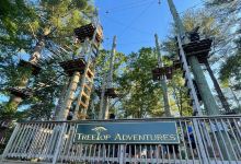 TreeTop Adventures景点图片
