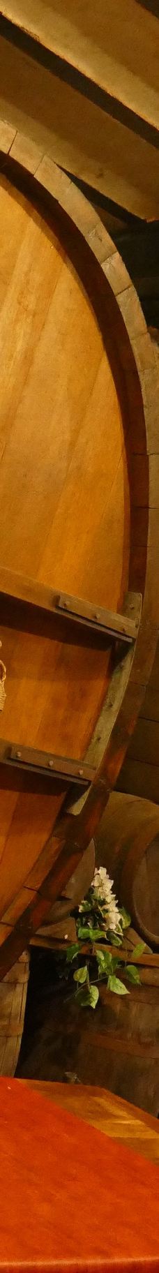 里派城堡-托农莱班