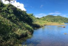Freshwater Lake Trail景点图片