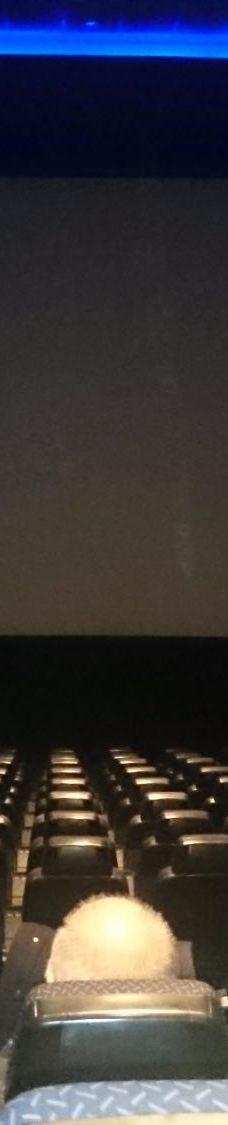 The Space Cinema-托里迪夸尔泰索洛