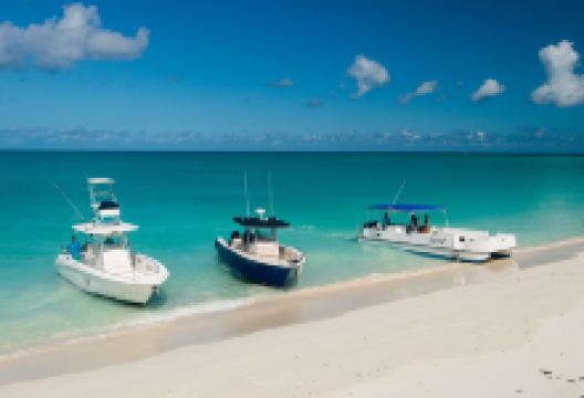 Talbot Adventures购物图片