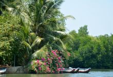 Lagoon Herbal Garden景点图片
