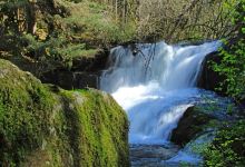 Alsea Falls Recreation Site景点图片