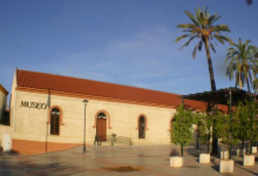 Museo Alcalá de Guadaíra景点图片